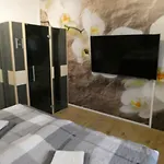 Traumfewo Palais #innenstadt #garten #netflix Von Harztraveler Apartman