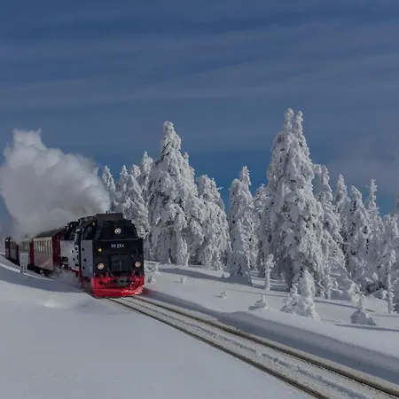 Traumfewo Palais #innenstadt #garten #netflix Von Harztraveler *