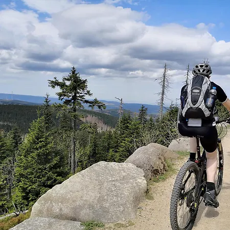 Traumfewo Palais #innenstadt #garten #netflix Von Harztraveler *