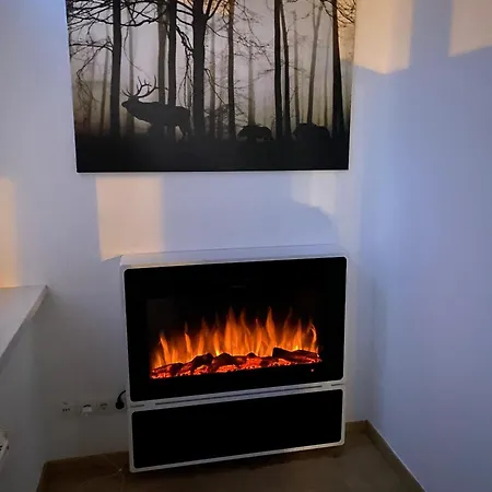 Appartement Traumfewo Palais #innenstadt #garten #netflix Von Harztraveler