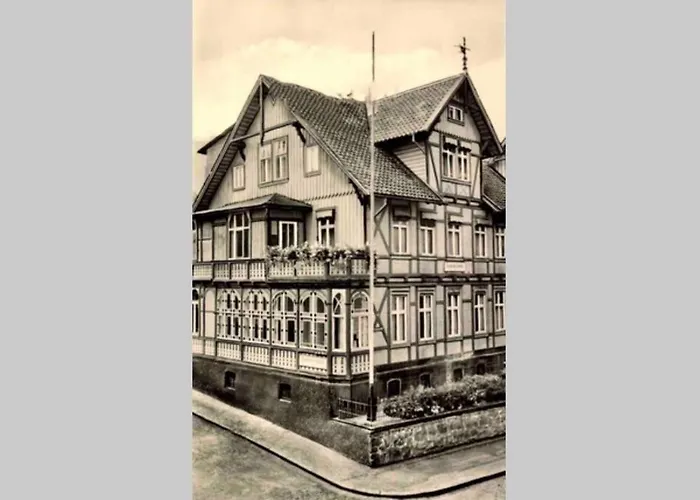 Traumfewo Palais #innenstadt #garten #netflix Von Harztraveler