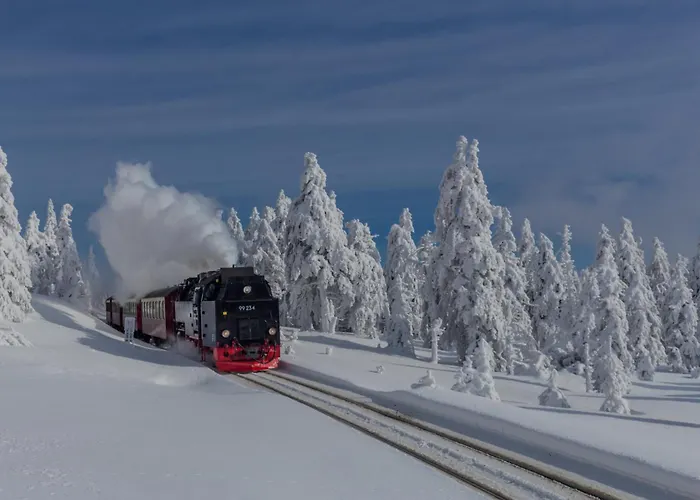 Traumfewo Palais #innenstadt #garten #netflix Von Harztraveler *